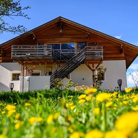 Apartment Labe Biohof Oberzonn Castelrotto